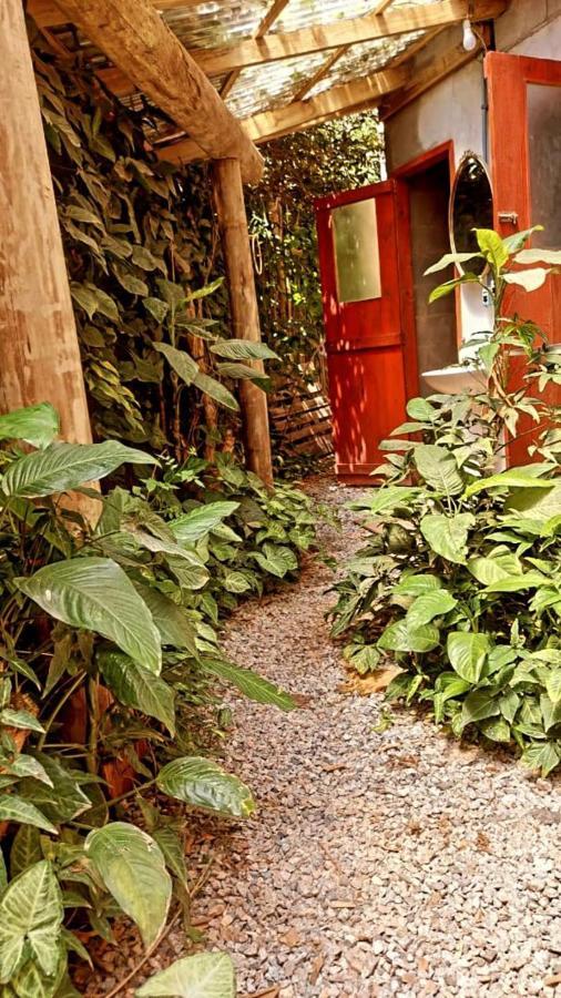 Villa Morena Benessere Florianópolis Εξωτερικό φωτογραφία