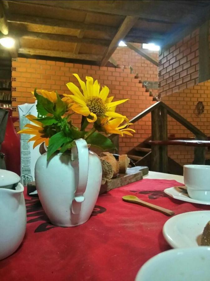 Villa Morena Benessere Florianópolis Εξωτερικό φωτογραφία