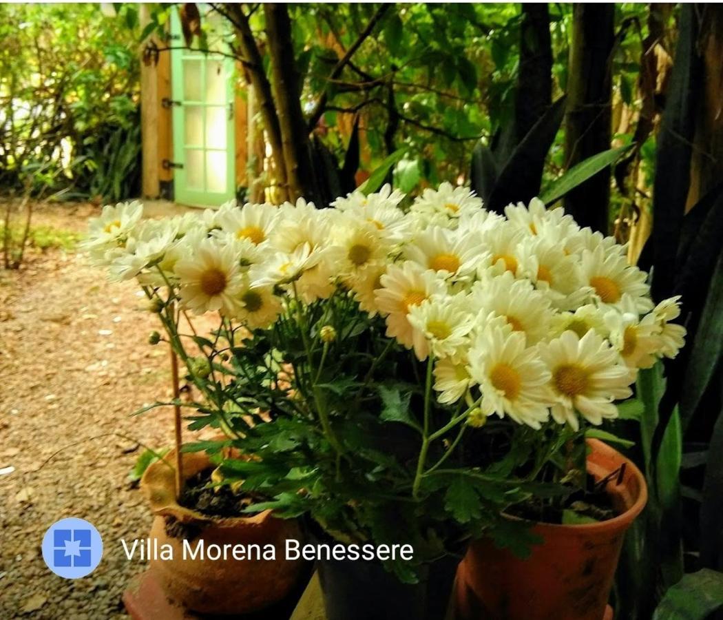 Villa Morena Benessere Florianópolis Εξωτερικό φωτογραφία