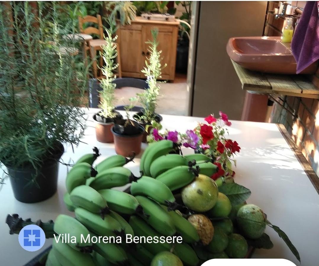 Villa Morena Benessere Florianópolis Εξωτερικό φωτογραφία