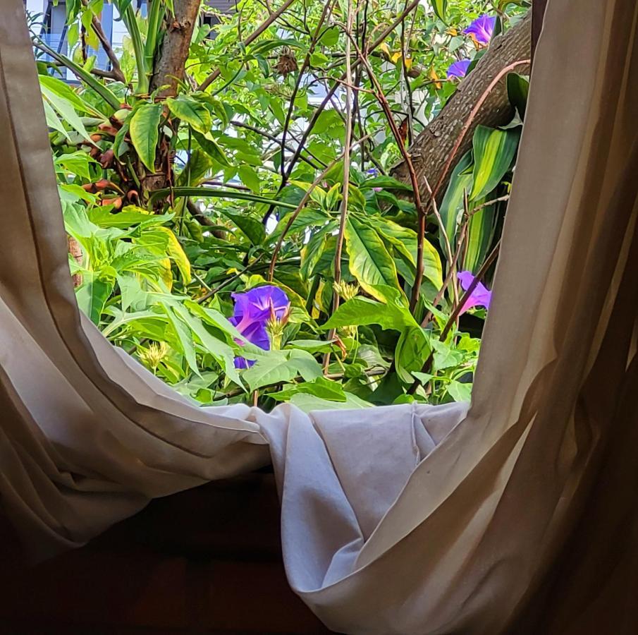 Villa Morena Benessere Florianópolis Εξωτερικό φωτογραφία