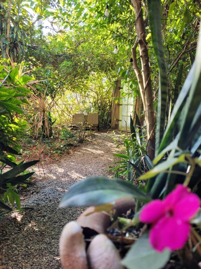Villa Morena Benessere Florianópolis Εξωτερικό φωτογραφία